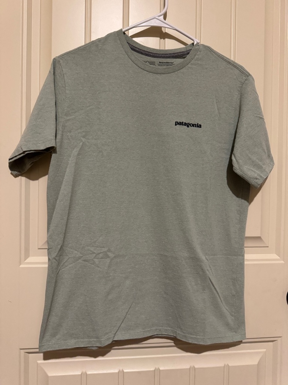 Patagonia Men's Short-Sleeve Tee in Sage Green with Chest Logo